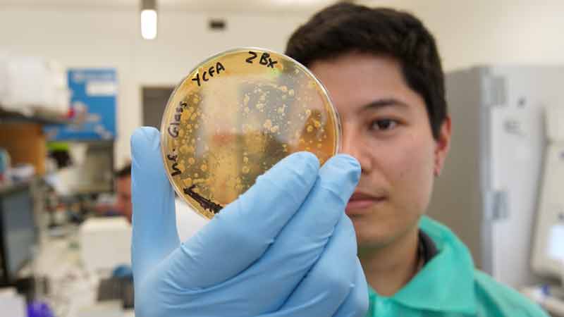 What is the Microbiome? 2
